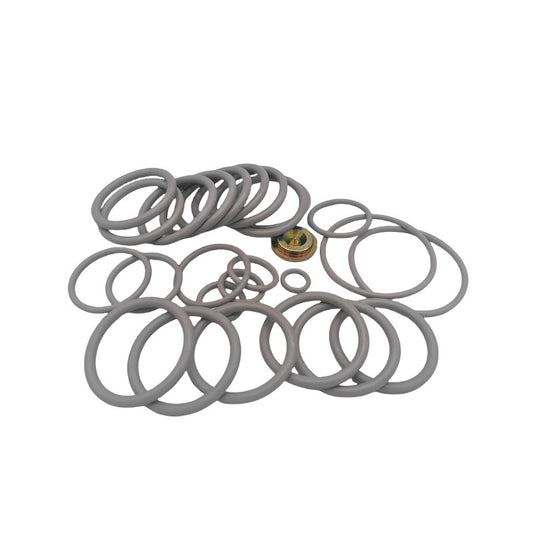 #10 BP3.SEC Redress Kit with gray seal rings and brass fitting on a white background