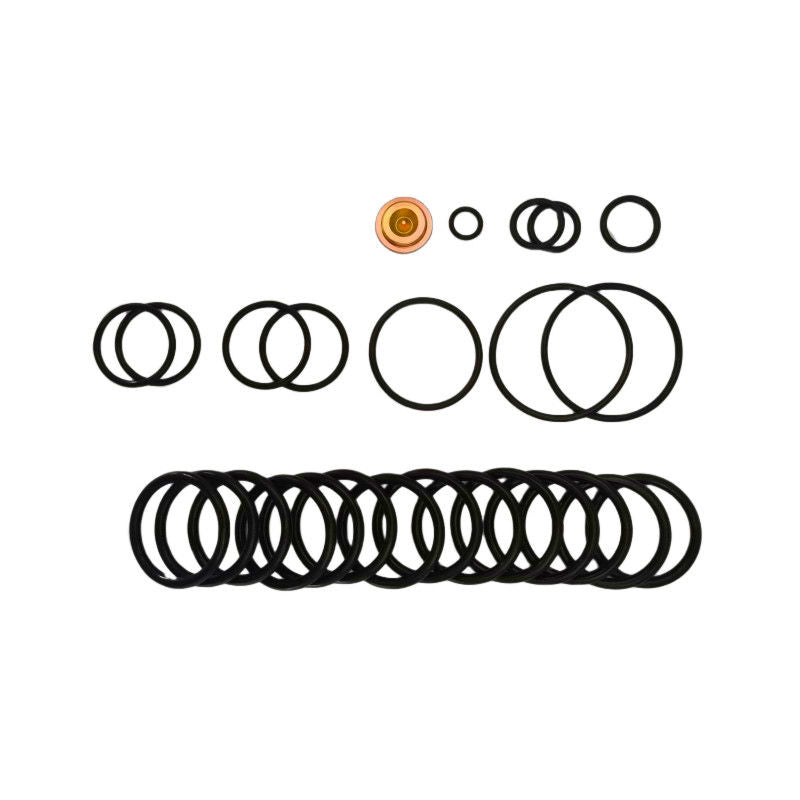 Black seal rings and brass plug arranged for a #10 BP3.SEC redress kit
