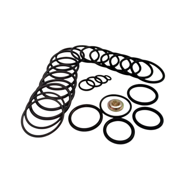 Royal Way #20 BP3.SEC Redress Kit with rubber seal components and brass fitting