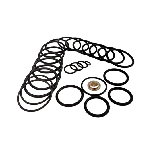Royal Way #20 BP3.SEC Redress Kit with rubber seal components and brass fitting