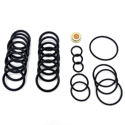 Grouped O-rings and metal plug arranged for a Baker-style #10 setting-tool redress kit